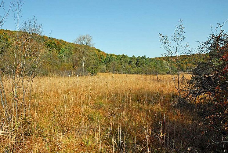 Réserve de Chalmessin