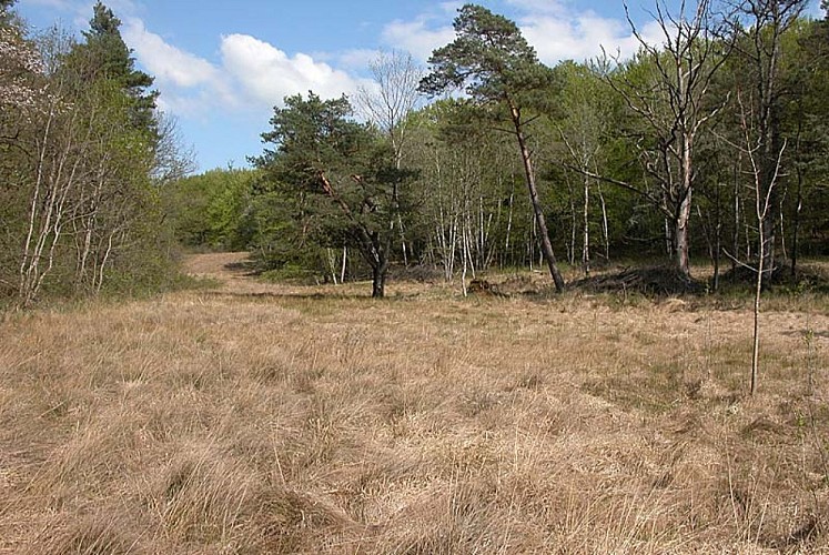 Réserve de Chalmessin