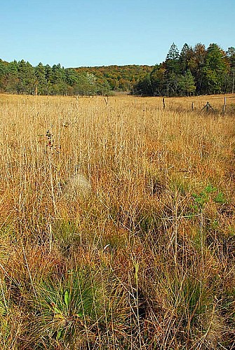 Réserve de Chalmessin