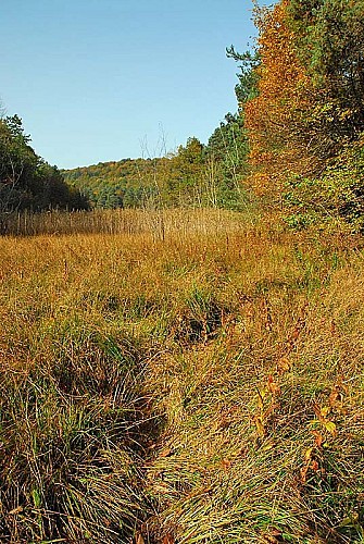 Réserve de Chalmessin