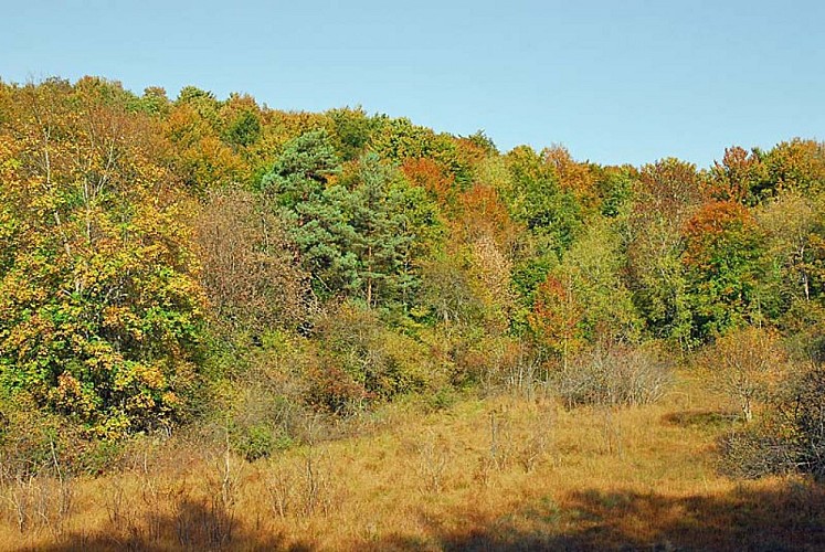 Réserve de Chalmessin