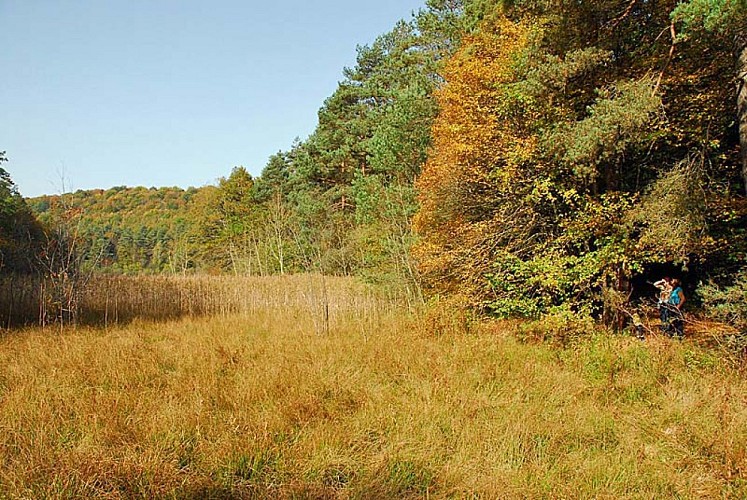 Réserve de Chalmessin