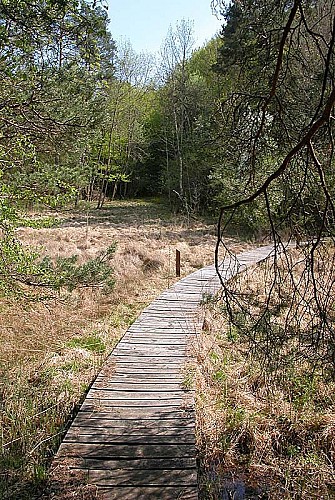 Réserve de Chalmessin