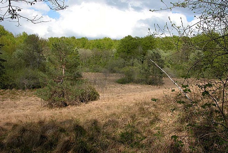 Réserve de Chalmessin