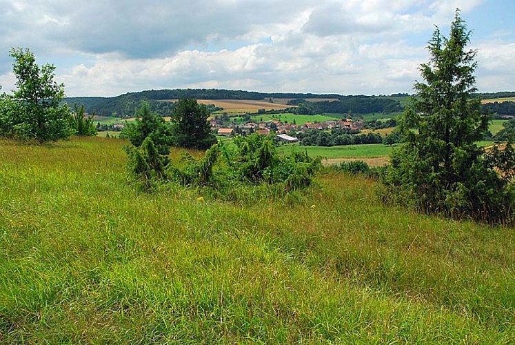 Pelouse sèche de Chameroy