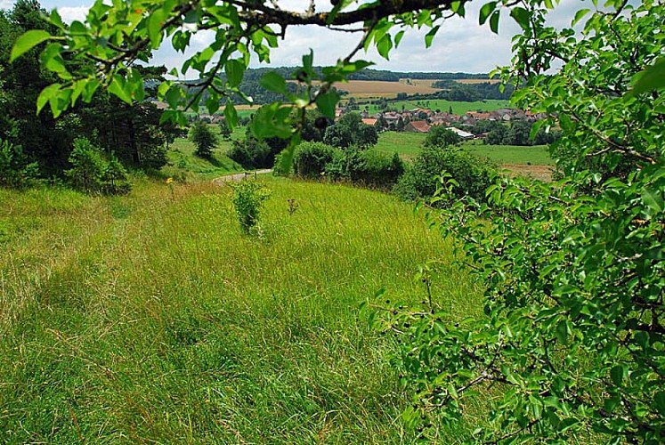 Pelouse sèche de Chameroy