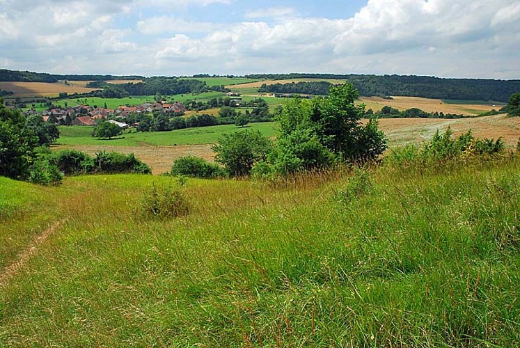 Pelouse sèche de Chameroy