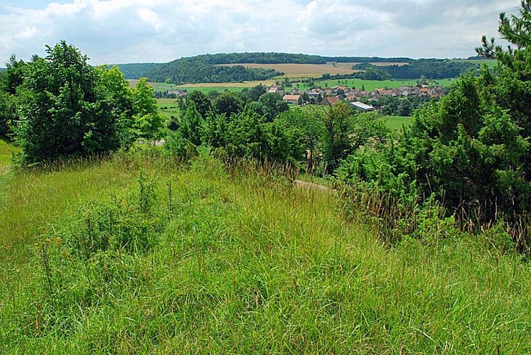 Pelouse sèche de Chameroy