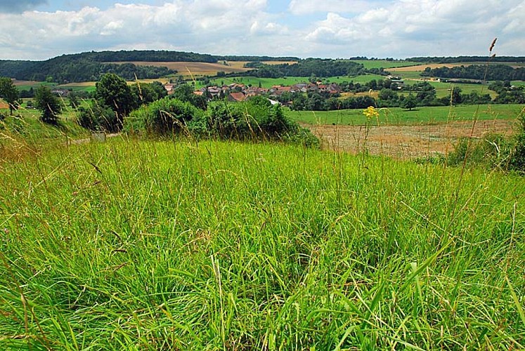 Pelouse sèche de Chameroy
