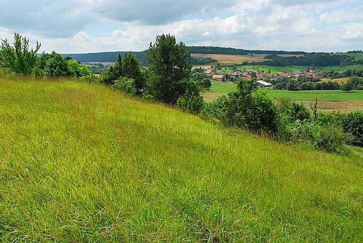 Pelouse sèche de Chameroy