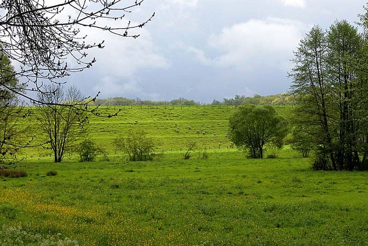 Lac de Charmes - la digue