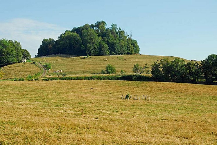 Butte Saint-Nicolas à Choiseul