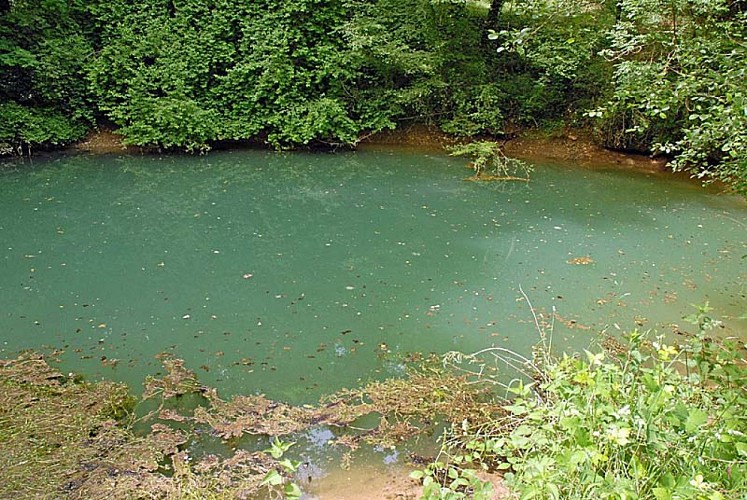 Creux Janin à Cusey