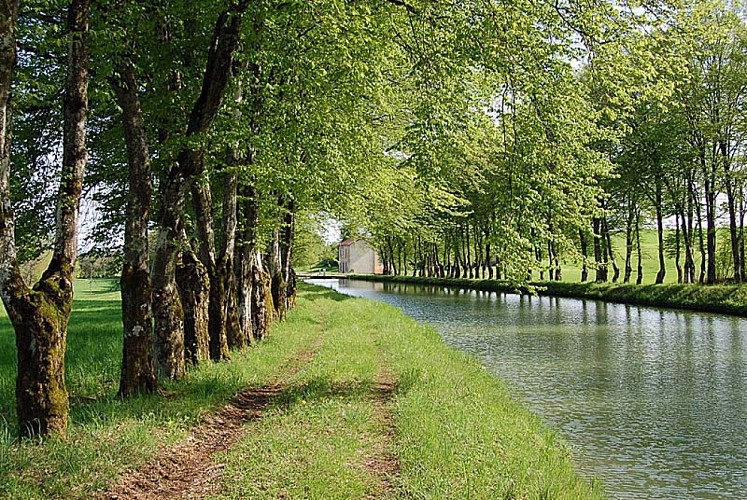 Canal entre Champagne et Bourgogne