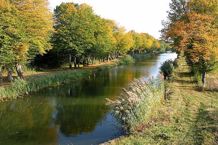 Canal entre Champagne et Bourgogne