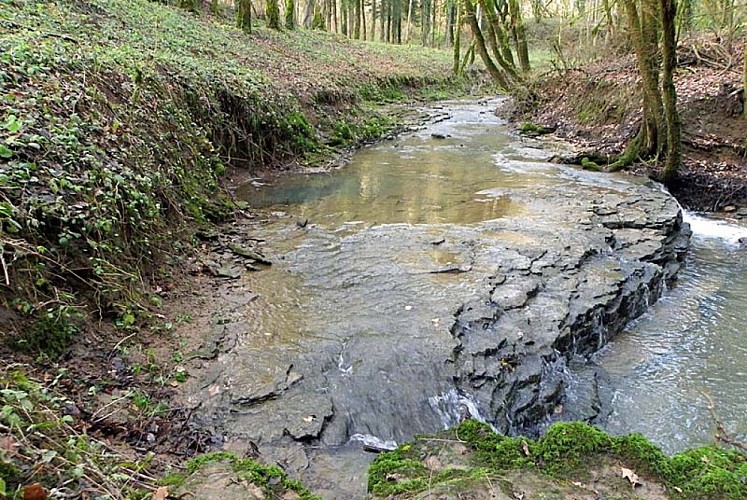 Perte de la rigotte grotte Farincourt