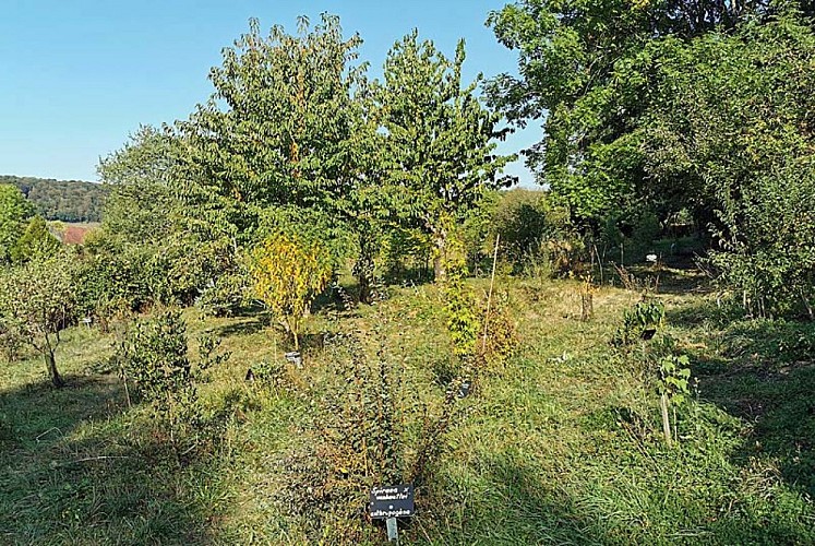 Arboretum des Charmettes