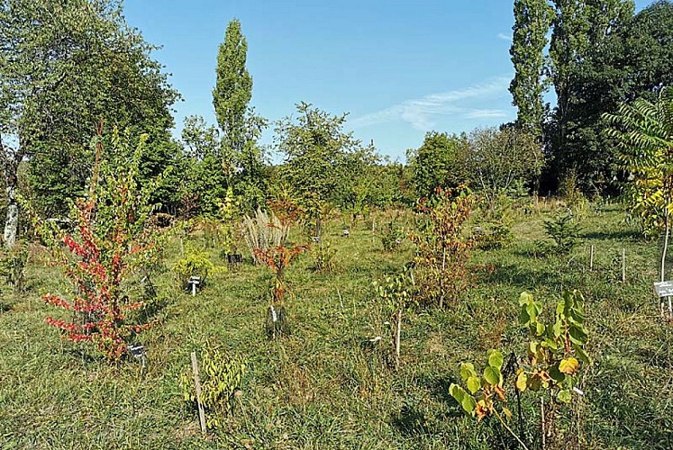 Arboretum des Charmettes