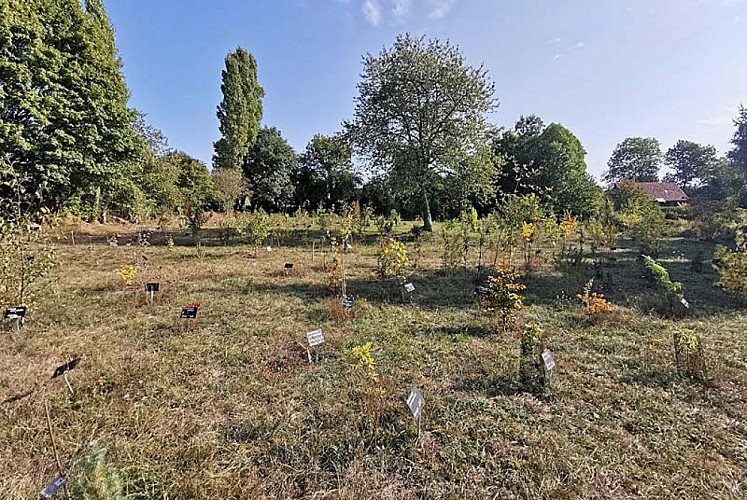 Arboretum des Charmettes