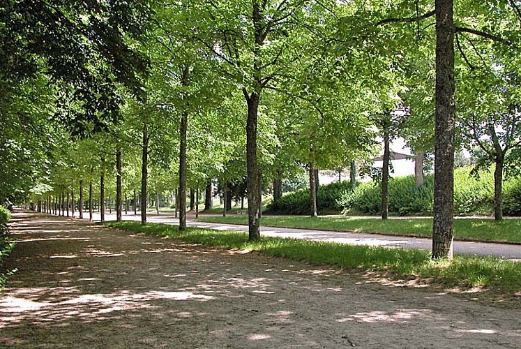 Blanchefontaine à Langres