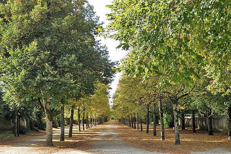 Blanchefontaine à Langres