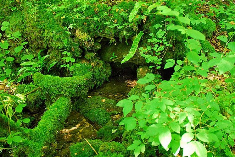 Source de la Mouche à Noidant-le-Rocheux
