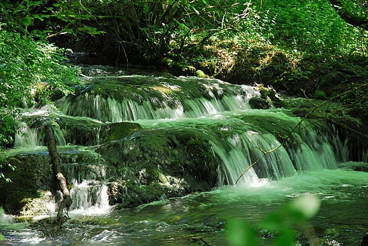 Rivière et vallée de la Mouche - Vieux-Moulins