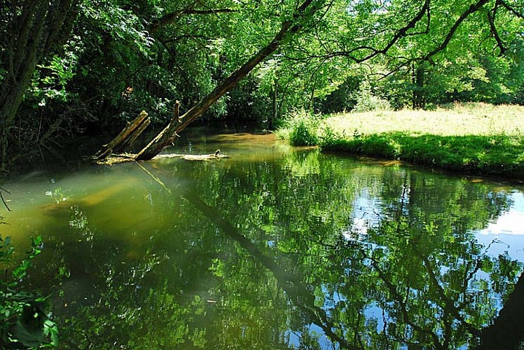 Rivière et vallée de la Mouche - Saint-Martin-les-Langres