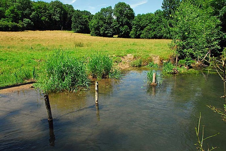 Rivière et vallée de la Mouche - Perrancey