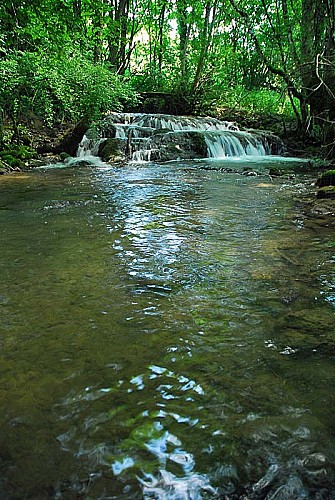 Rivière et vallée de la Mouche - Vieux-Moulins