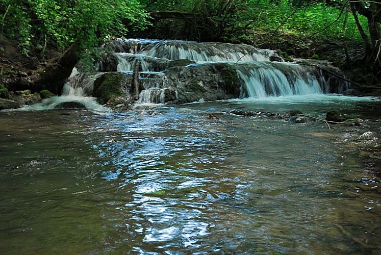 Rivière et vallée de la Mouche - Vieux-Moulins