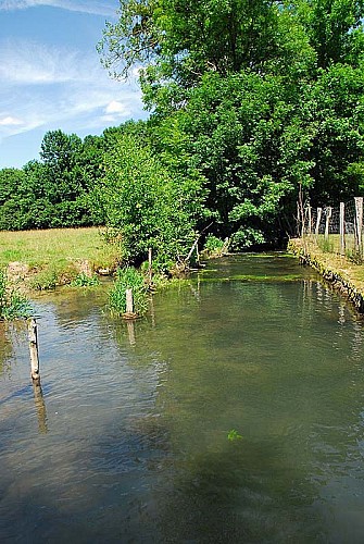 Rivière et vallée de la Mouche - Perrancey