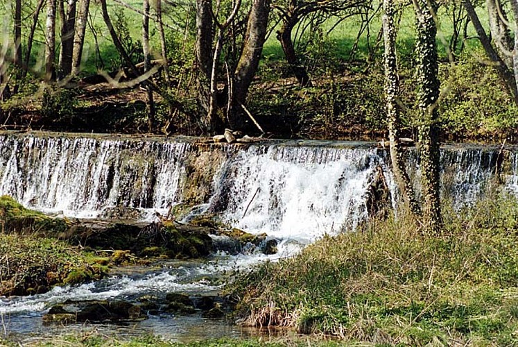 Rivière et vallée de la Mouche - Saint-Martin-les-Langres