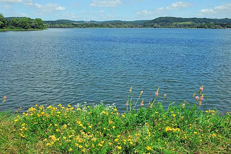 Lac de la Vingeanne - digue aux orchidèes