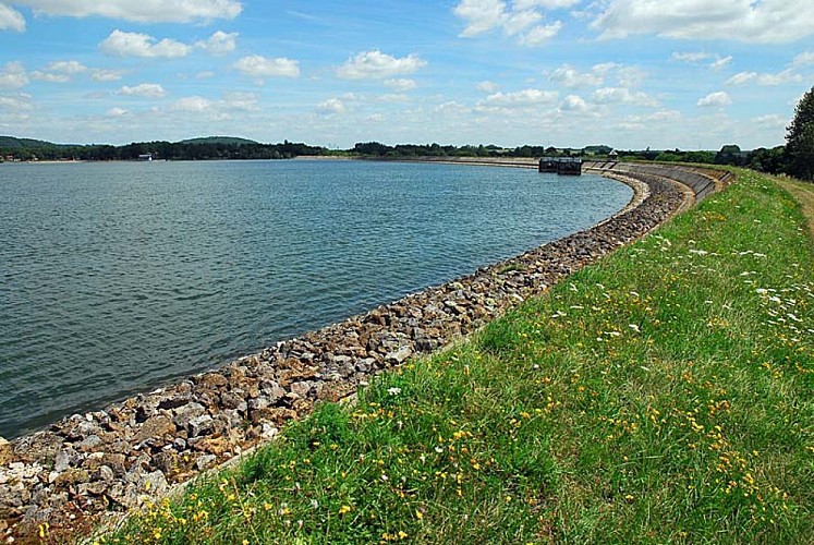 Lac de la Vingeanne - digue aux orchidèes