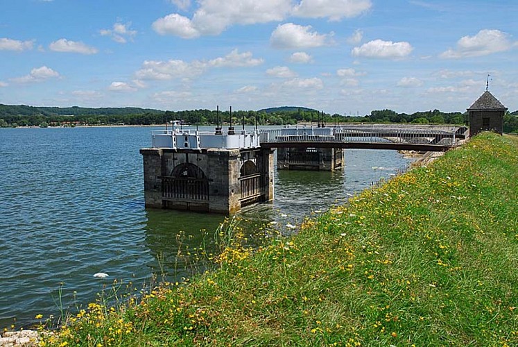 Lac de la Vingeanne - digue aux orchidèes