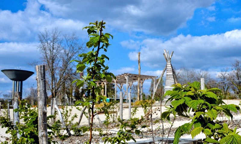 chaumont jardin des possibles 9746._2