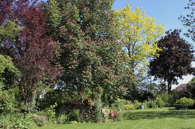 champagne 52 ceffonds un jardin pour tous les sens 1600._1