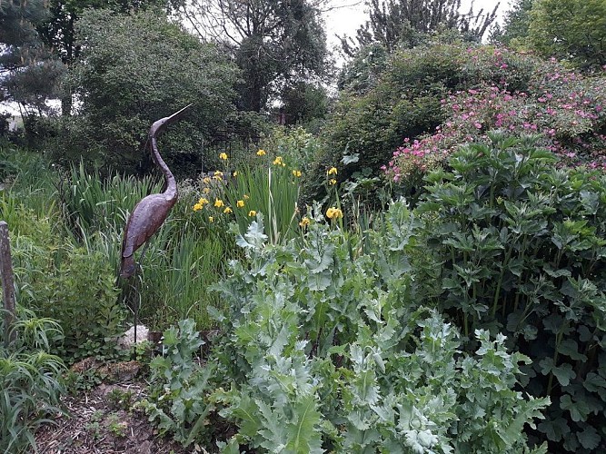 champagne 52 ceffonds un jardin pour tous les sens 180529._10