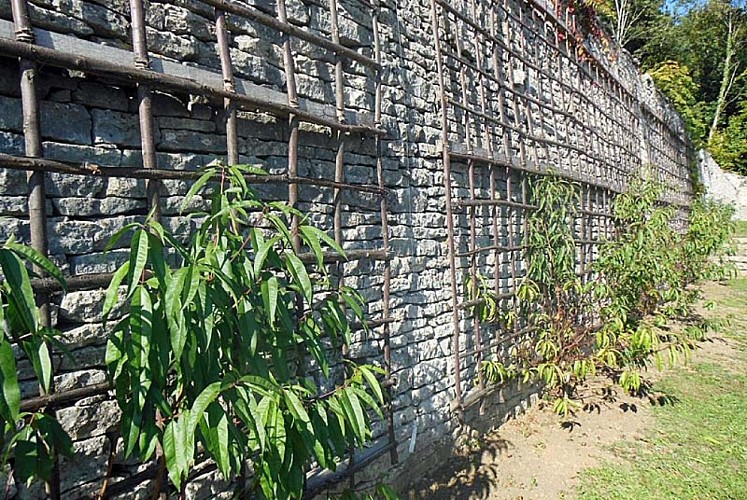 Jardins suspendus de Cohons - le clos de la roche