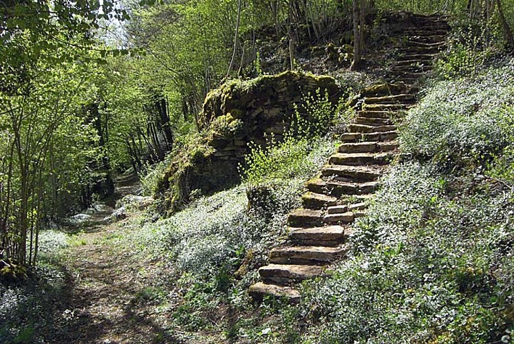 Jardins suspendus de Cohons - le clos de la roche