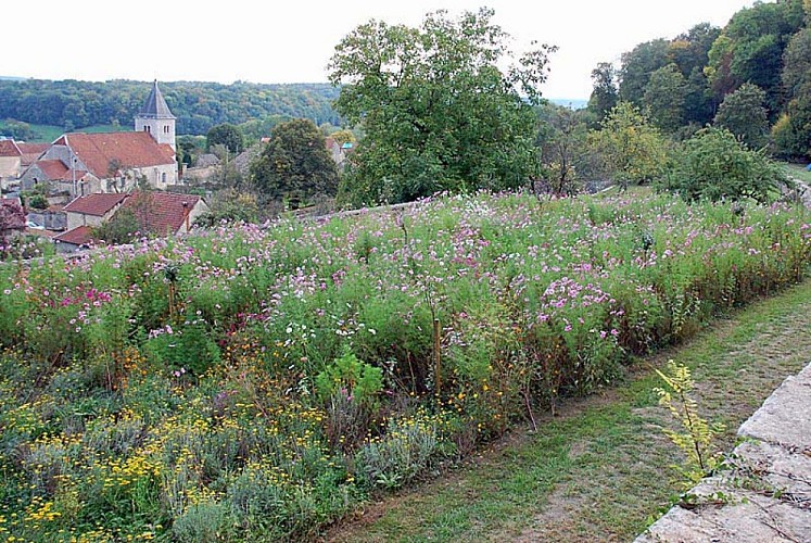 Jardins suspendus de Cohons - le clos de la roche