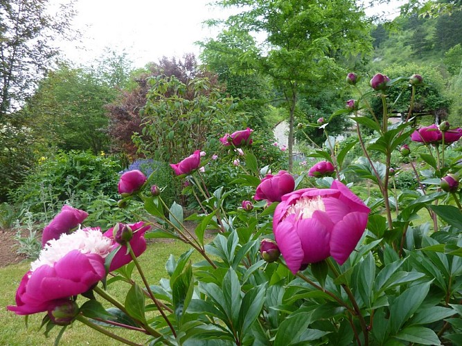 Jardin de mon moulin