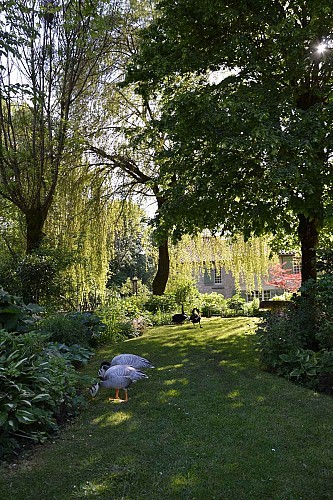 Jardin de mon moulin