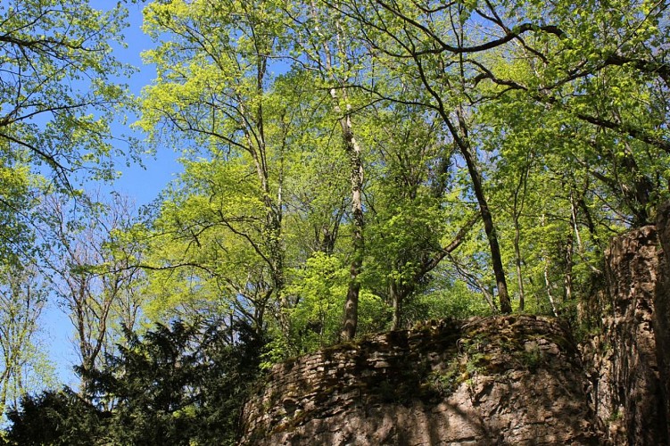 champagne 52 bourmont nature paysage jardins parcs et jardins parc rochesl promenade ca´na 2015 mdt52 11._2