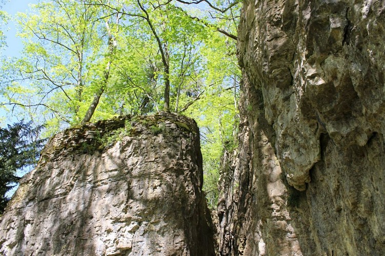 champagne 52 bourmont nature paysage jardins parcs et jardins parc rochesl promenade ca´na 2015 mdt52 10._5