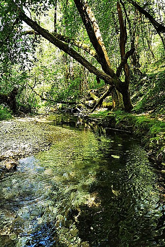 Le cul du cerf - la Manoise