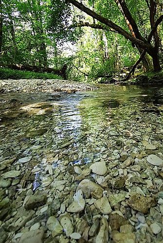 Le cul du cerf - la Manoise