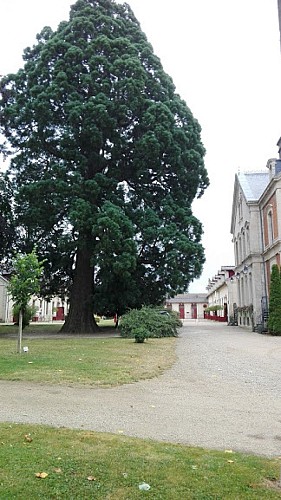 Cour d'honneur 2- Lac du Der