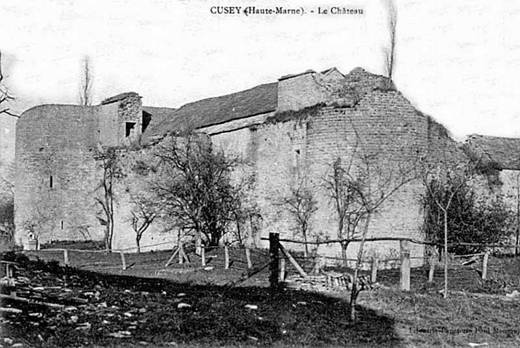 Carte postale du château de  Cusey
